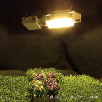 1000W Double Ended 2K HPS Lamp For the Horticulture Indoor Farming Grow Lamp